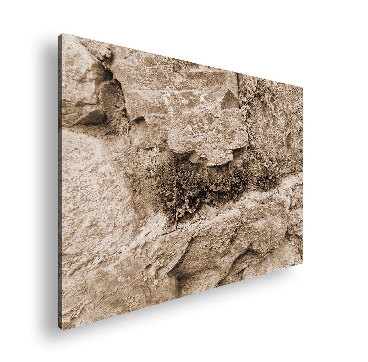 Hauptbild Sepia Standart