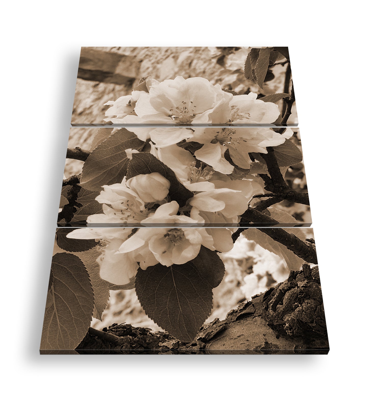 Hauptbild Sepia 3 Teilig