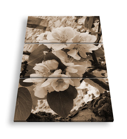 Hauptbild Sepia 3 Teilig