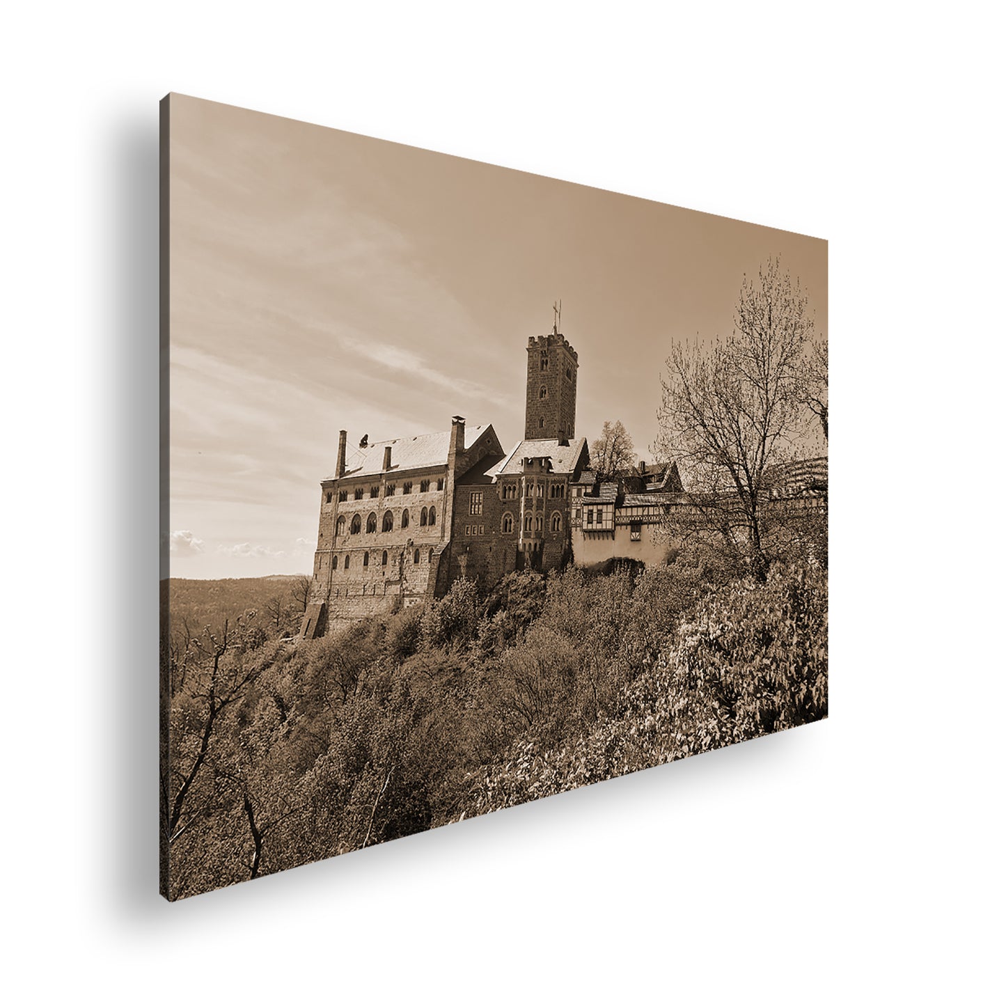 Hauptbild Sepia Standart