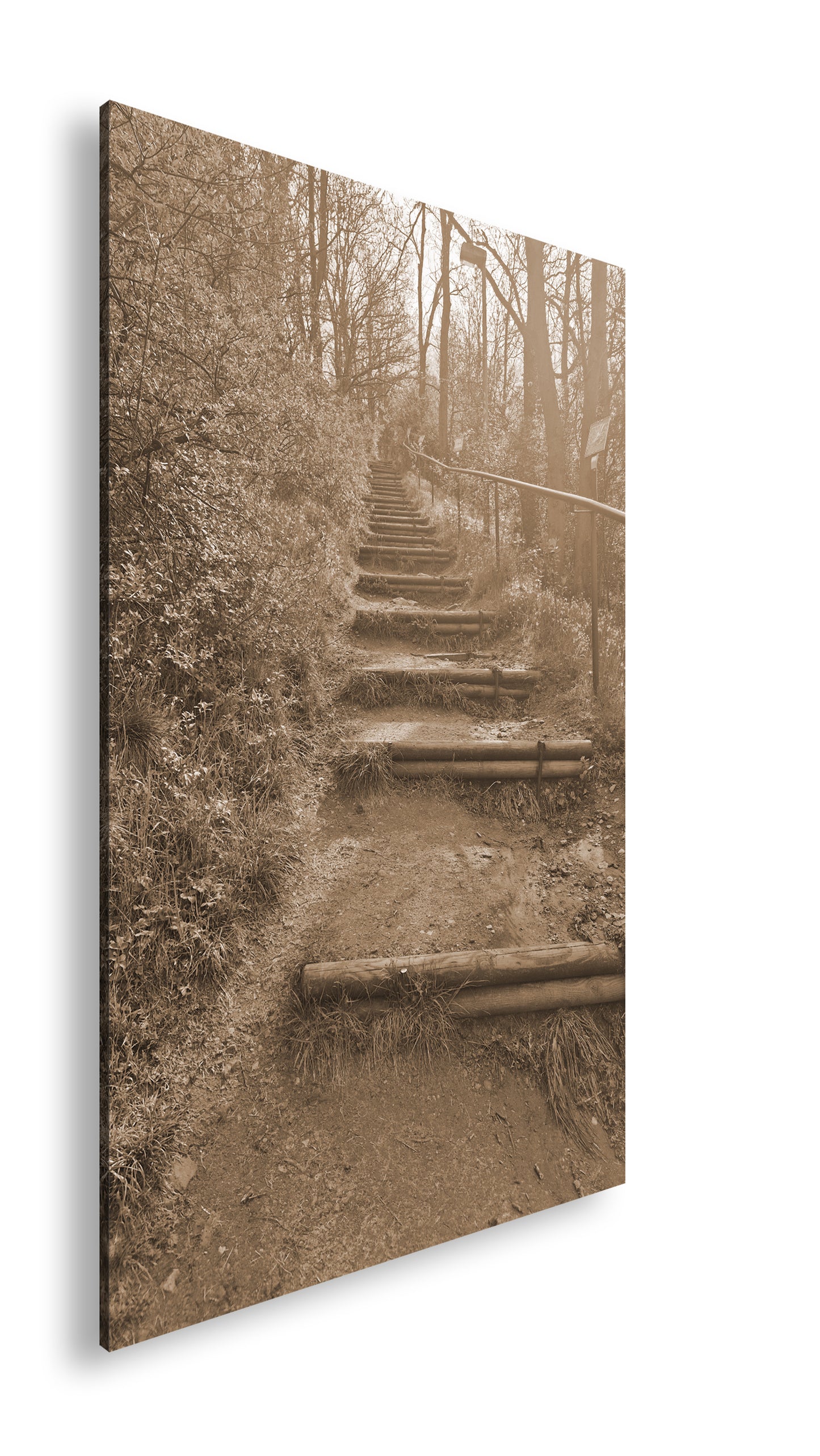 Hauptbild Sepia Standart