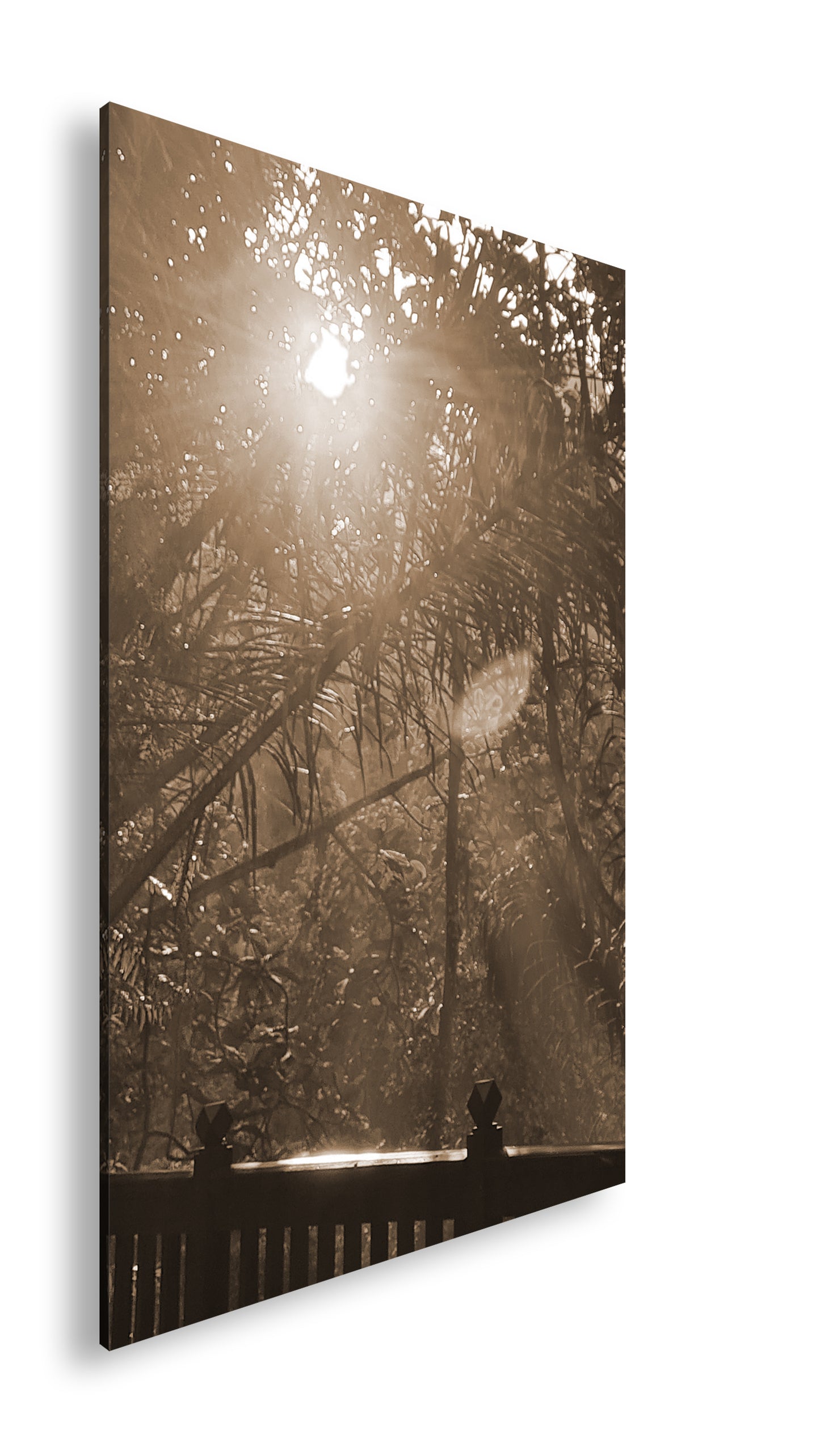 Hauptbild Sepia Standart