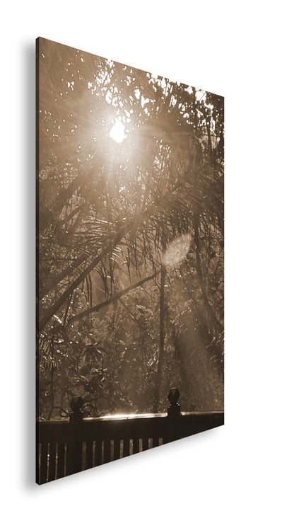 Hauptbild Sepia Standart