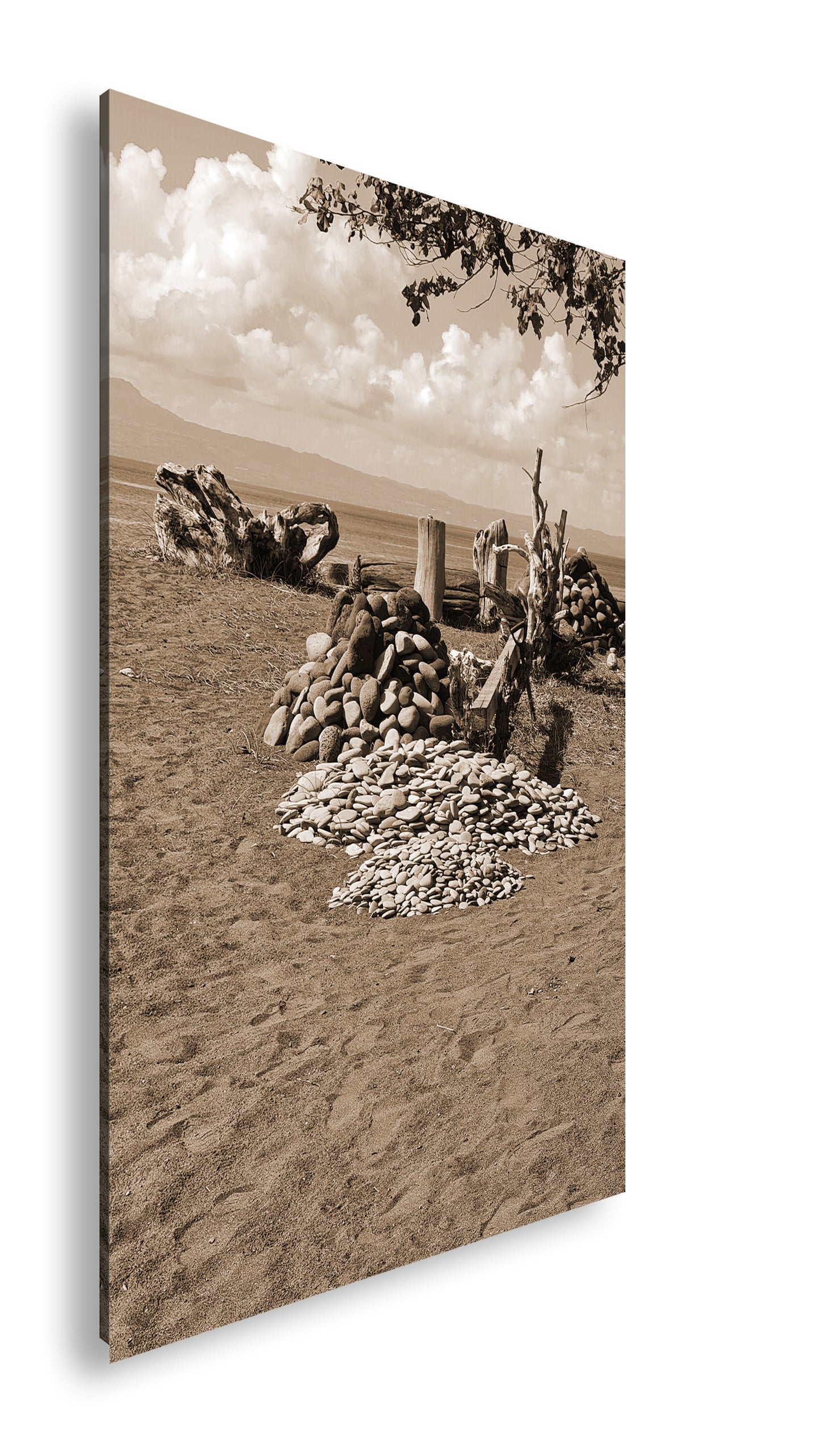 Hauptbild Sepia Standart