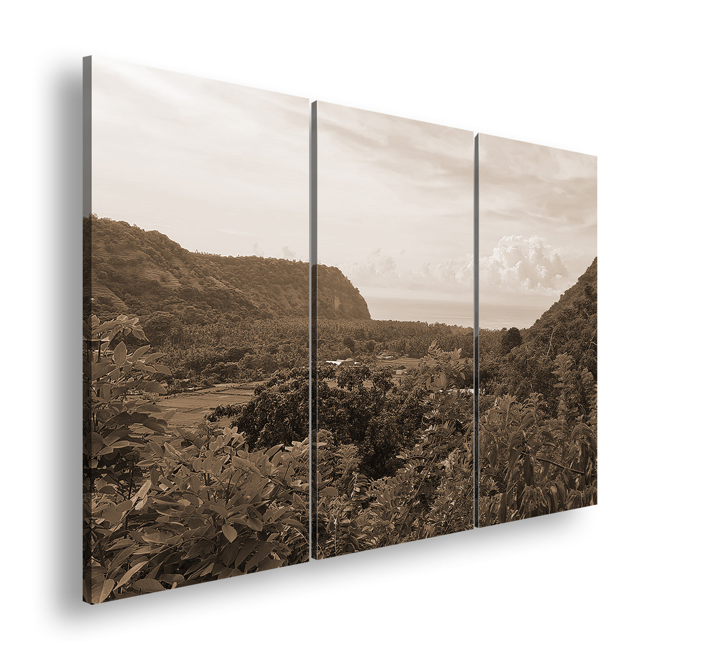 Hauptbild Sepia 3 Teilig