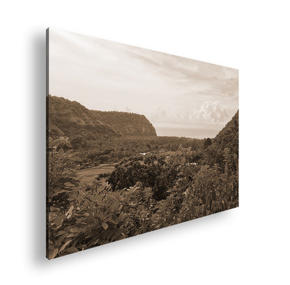 Hauptbild Sepia Standart