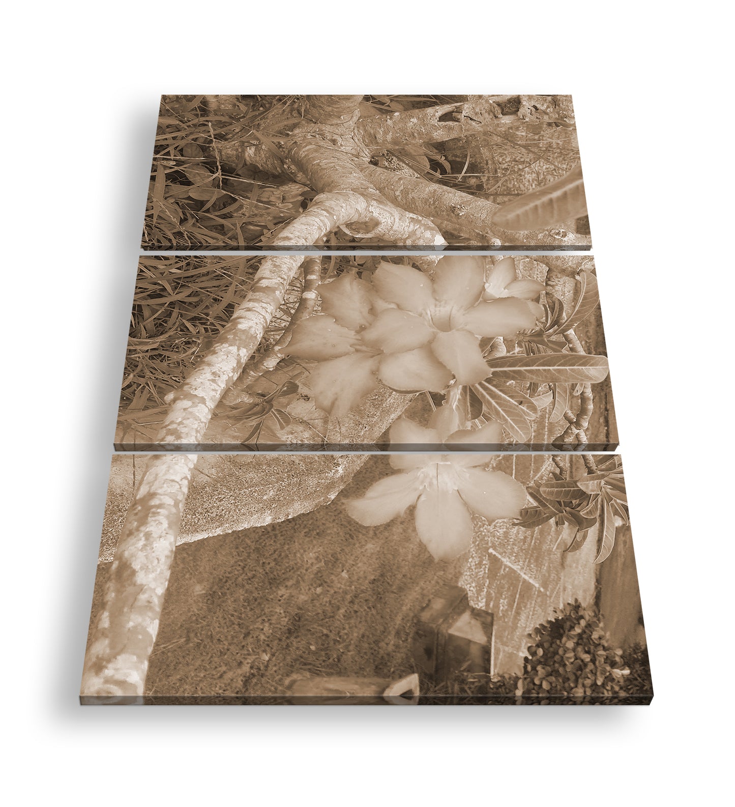 Hauptbild Sepia 3 Teilig