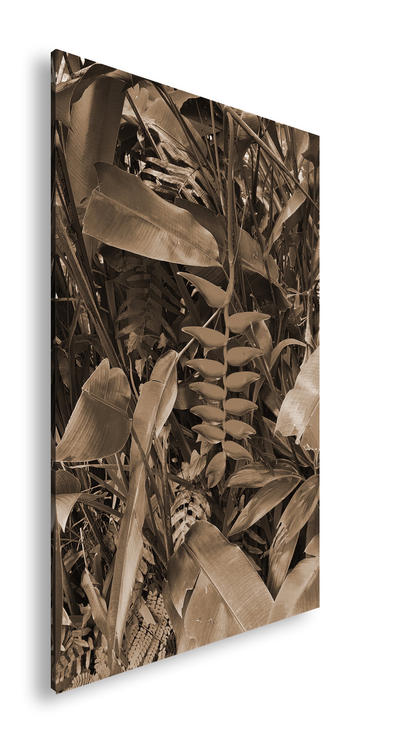 Hauptbild Sepia Standart