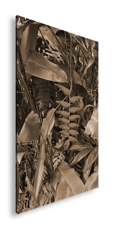 Hauptbild Sepia Standart