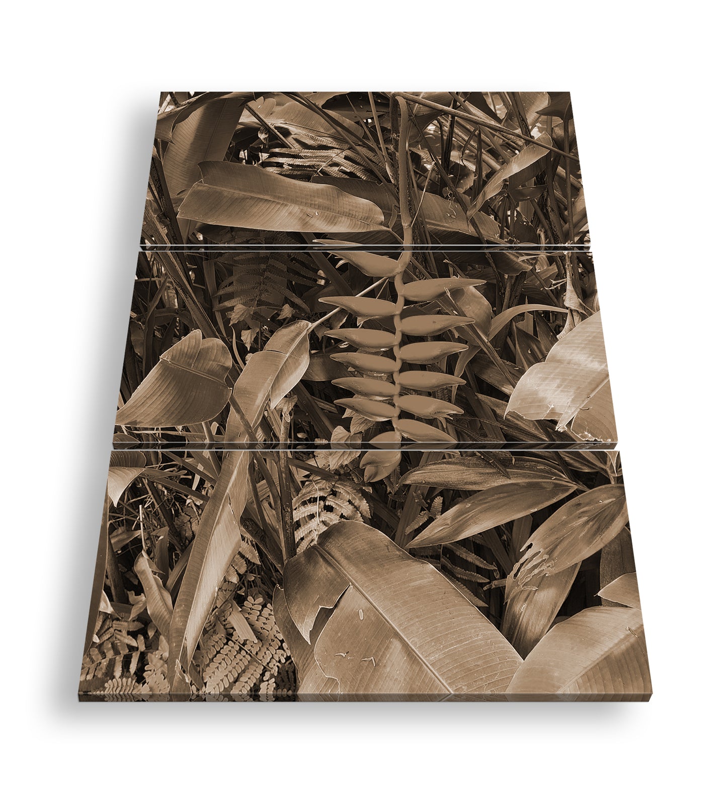 Hauptbild Sepia 3 Teilig