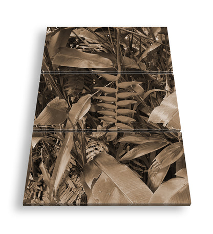 Hauptbild Sepia 3 Teilig