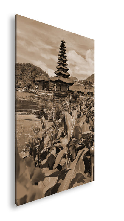 Hauptbild Sepia Standart