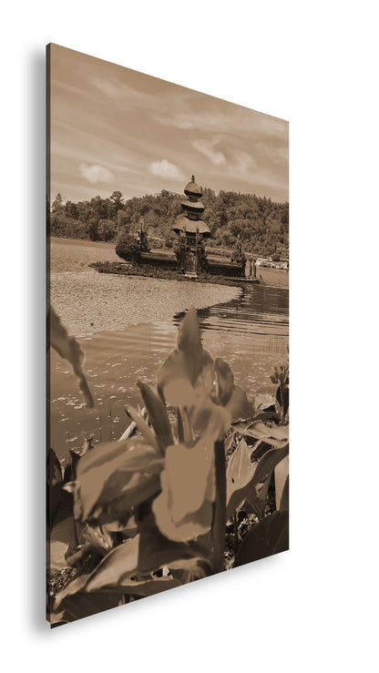 Hauptbild Sepia Standart