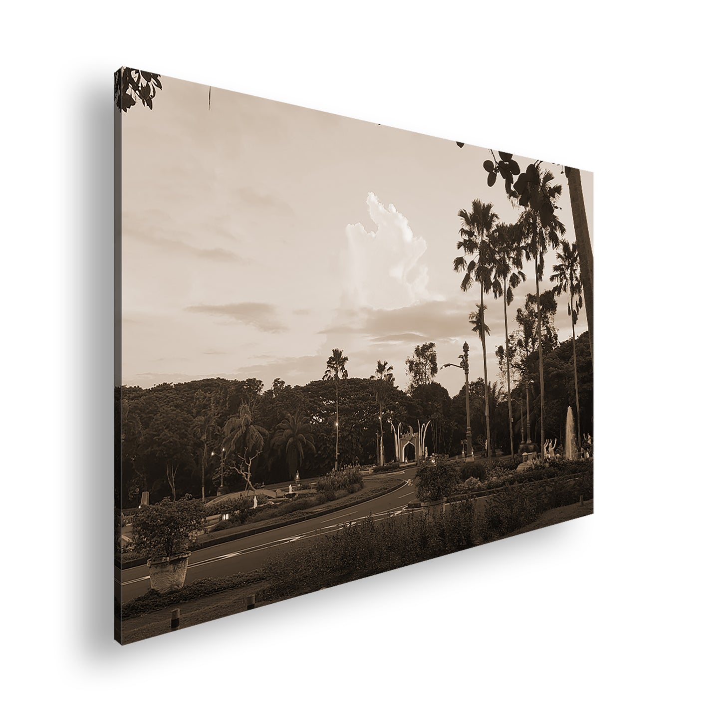 Hauptbild Sepia Standart