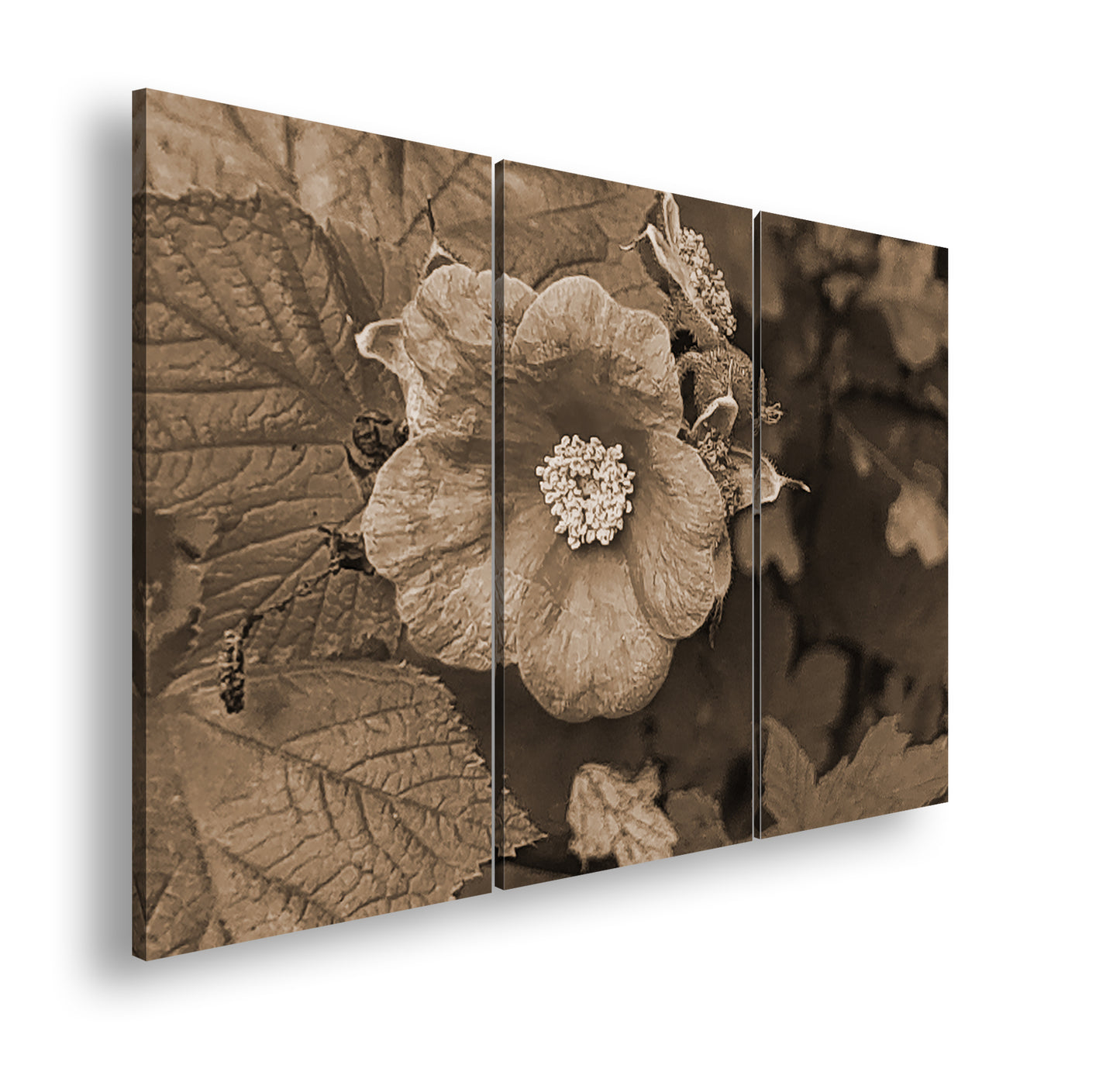 Hauptbild Sepia 3 Teilig