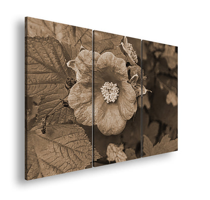 Hauptbild Sepia 3 Teilig