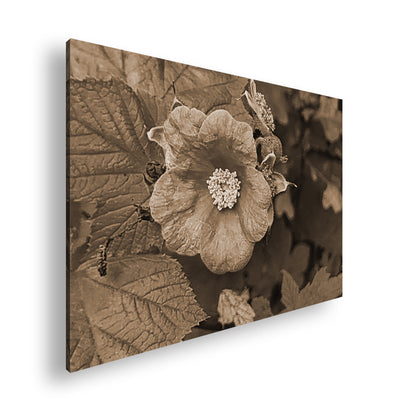 Hauptbild Sepia Standart