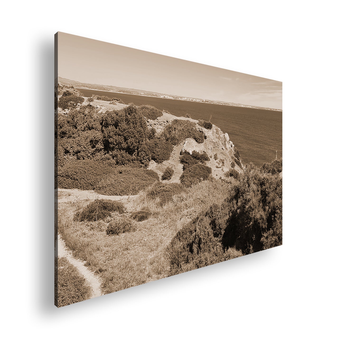 Hauptbild Sepia Standart