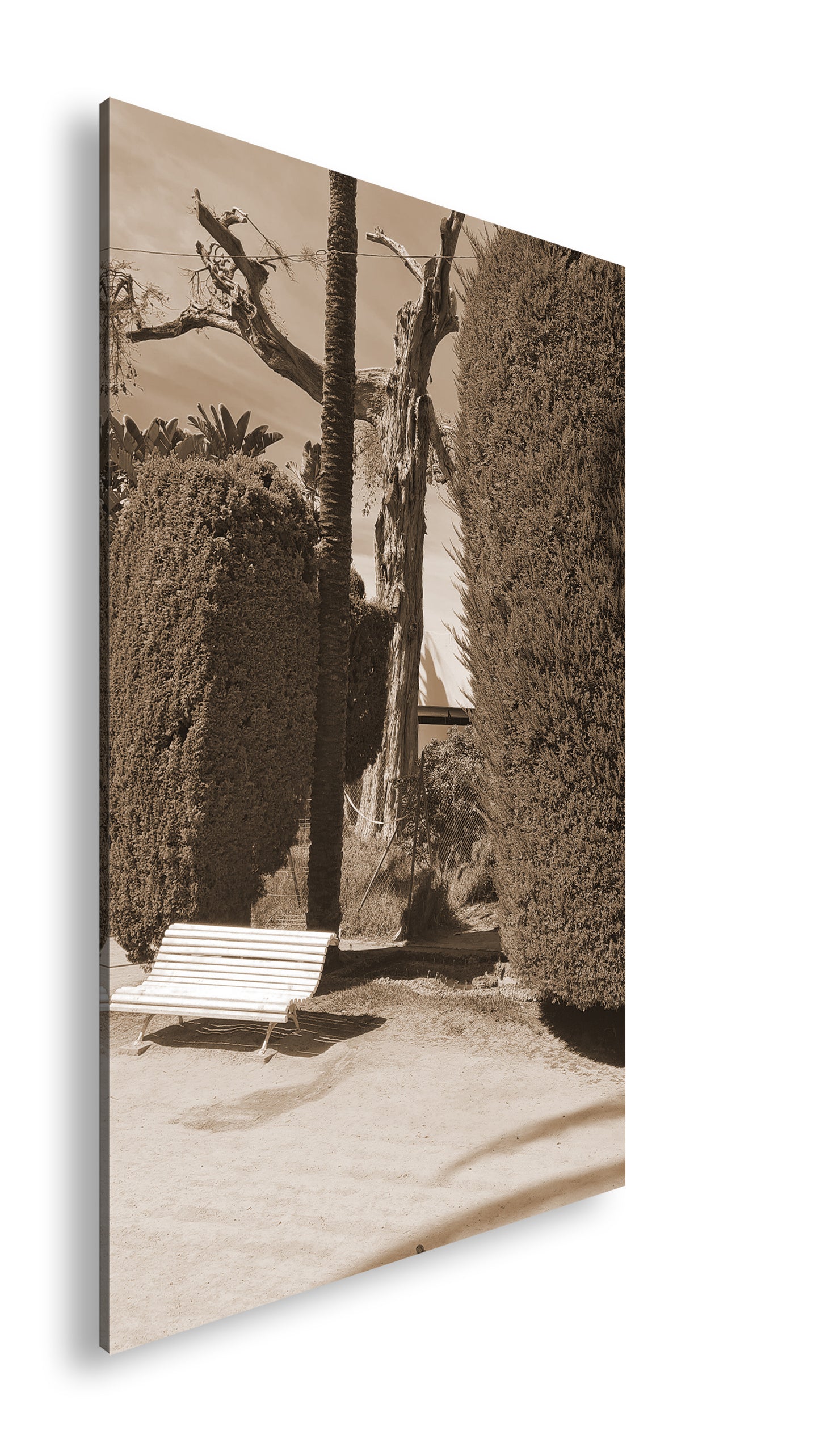 Hauptbild Sepia Standart