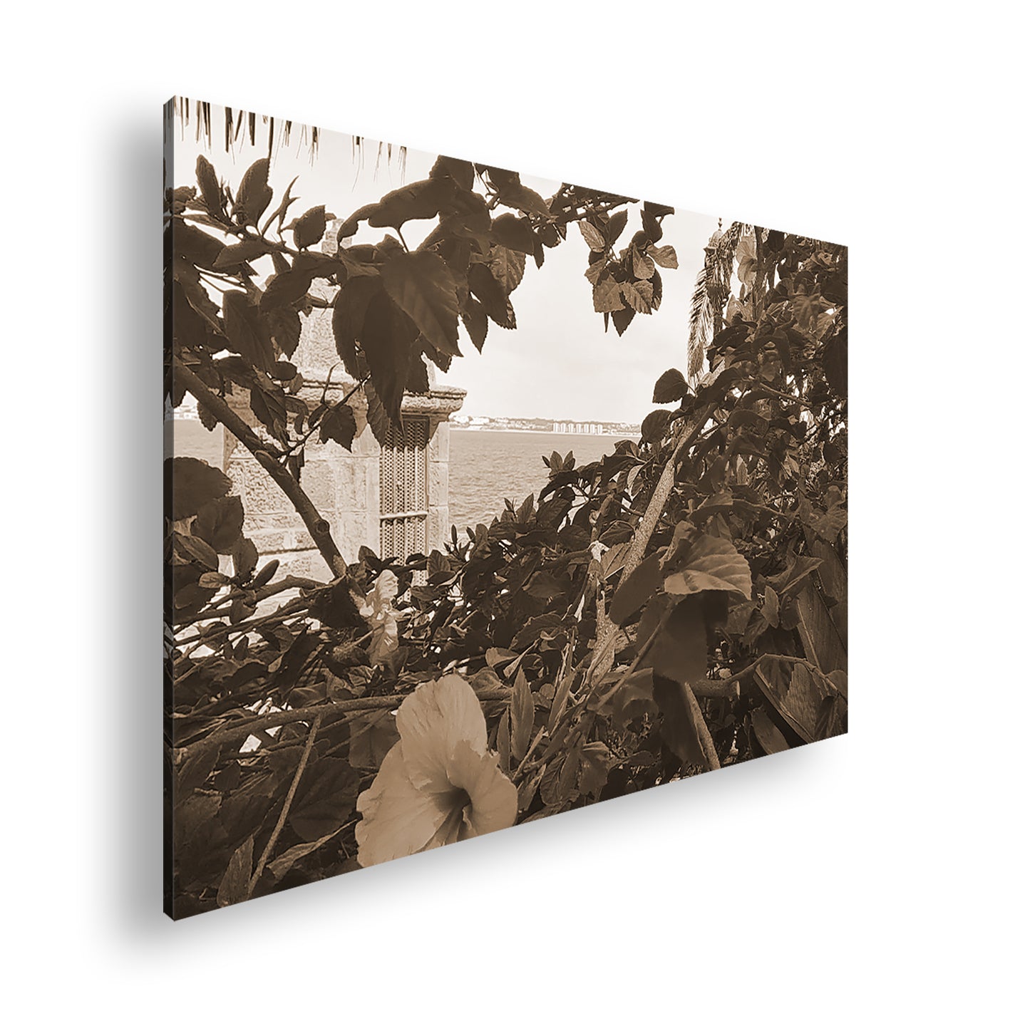 Hauptbild Sepia Standart