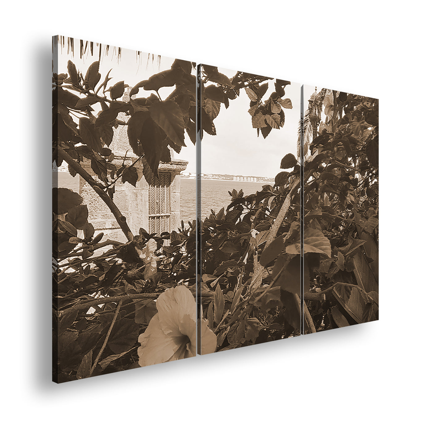 Hauptbild Sepia 3 Teilig