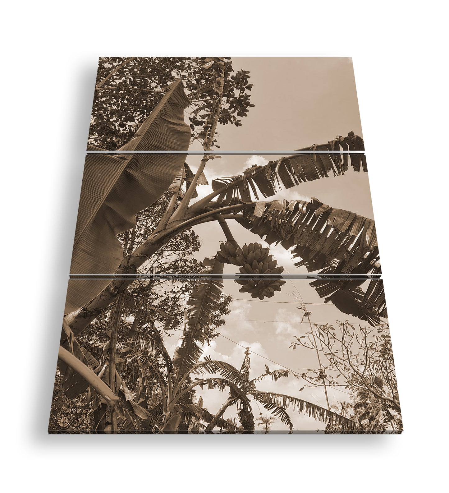 Hauptbild Sepia 3 Teilig