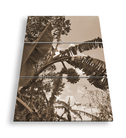 Hauptbild Sepia 3 Teilig