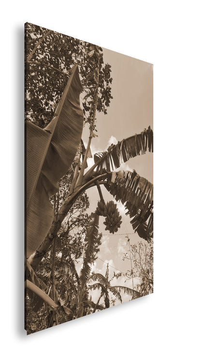 Hauptbild Sepia Standart