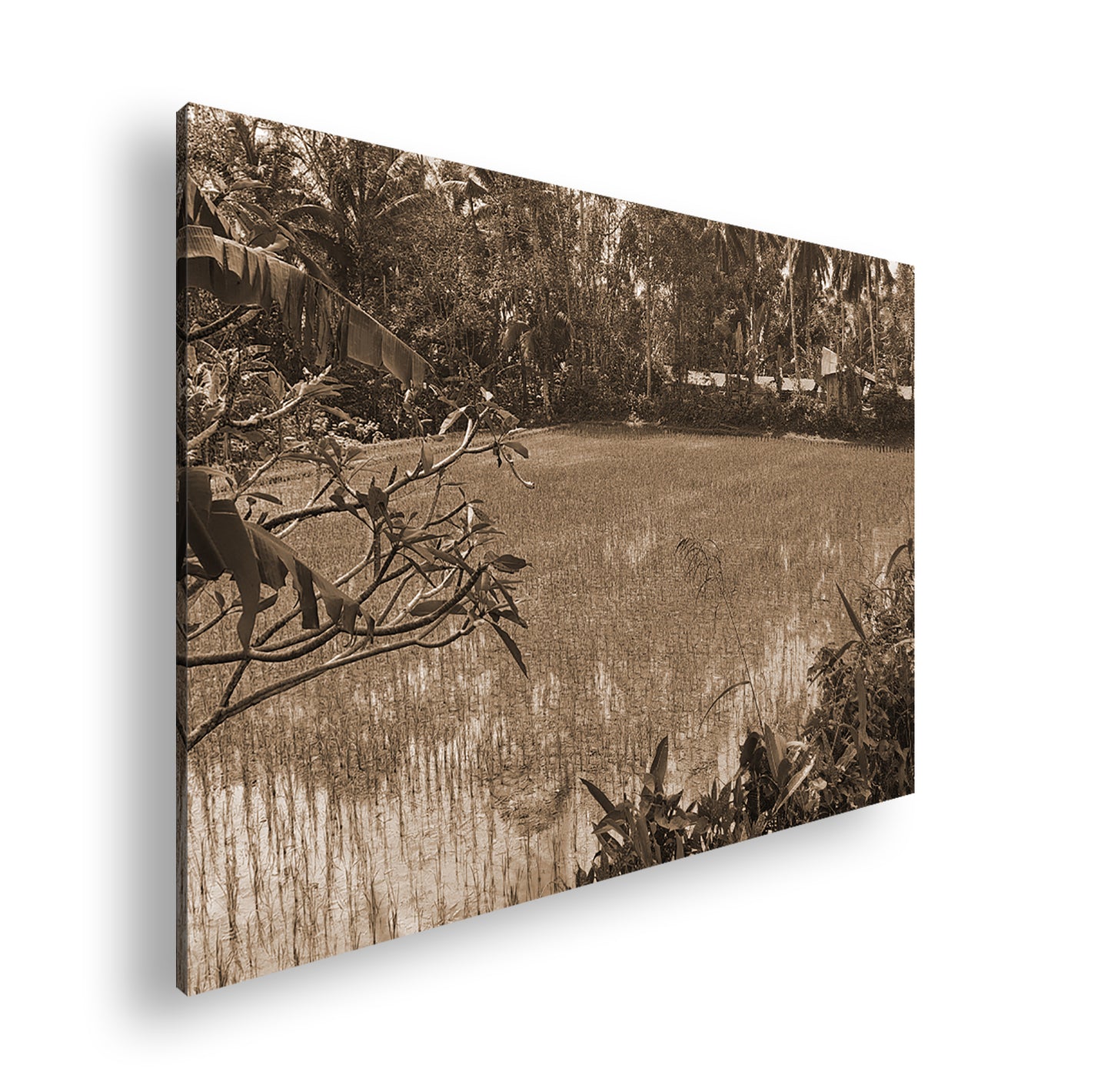 Hauptbild Sepia Standart