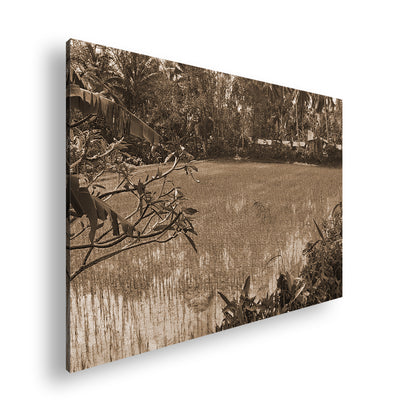 Hauptbild Sepia Standart