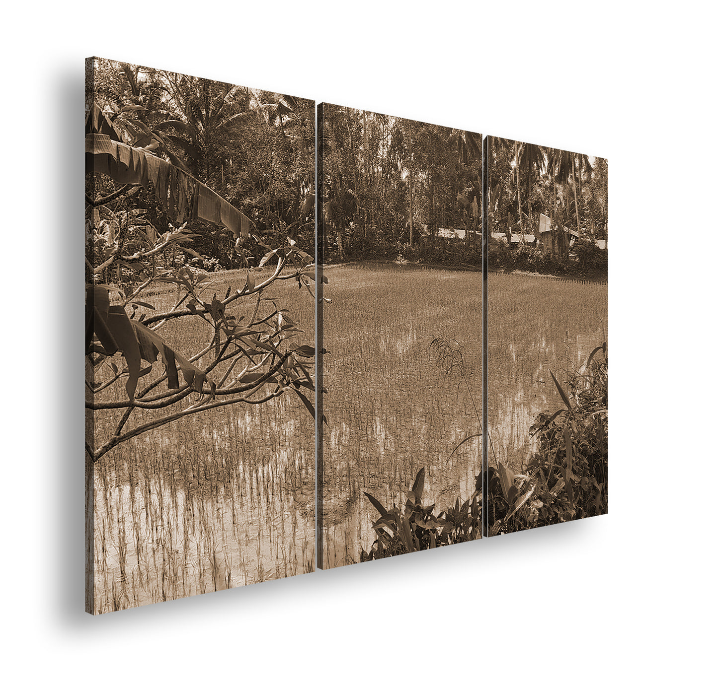 Hauptbild Sepia 3 Teilig