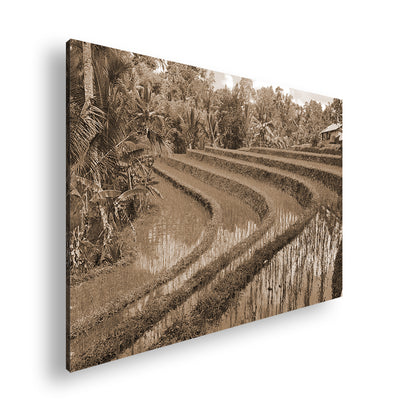 Hauptbild Sepia Standart