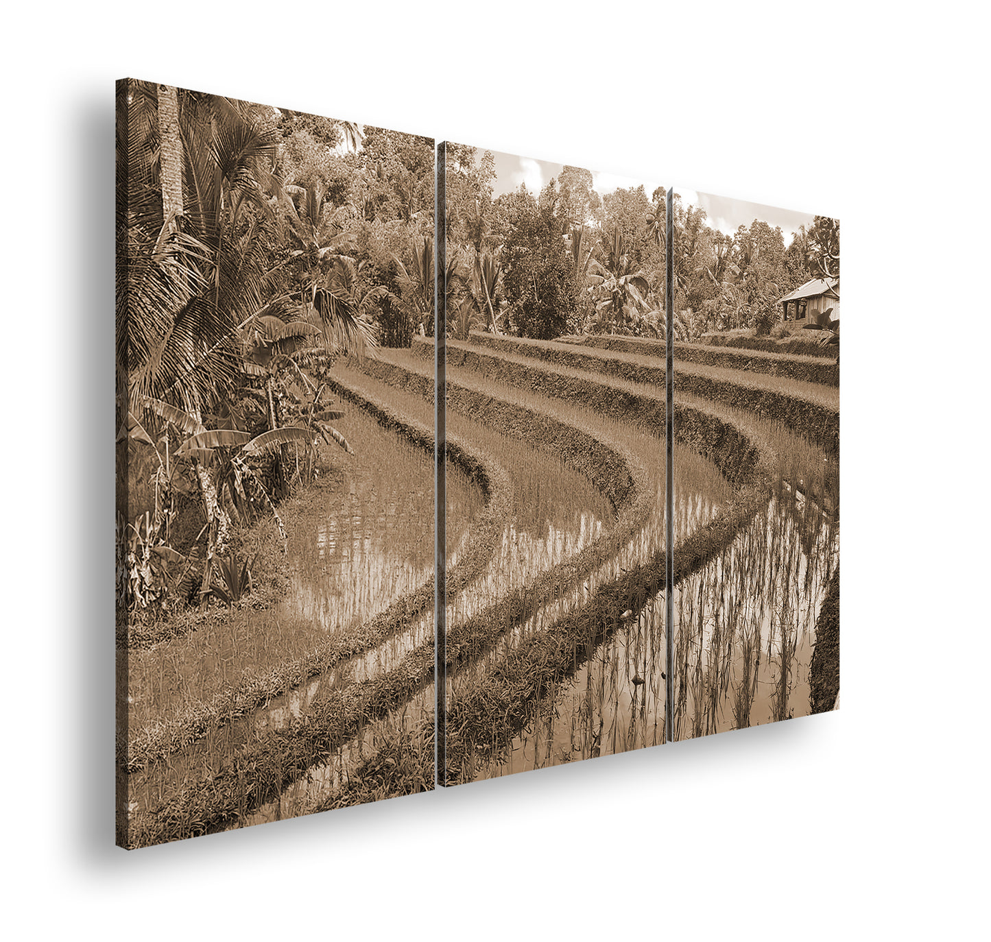 Hauptbild Sepia 3 Teilig