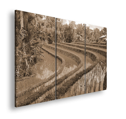 Hauptbild Sepia 3 Teilig