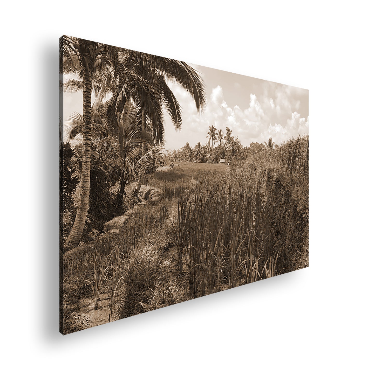 Hauptbild Sepia Standart