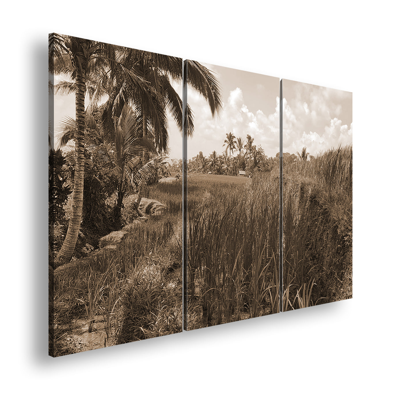 Hauptbild Sepia 3 Teilig