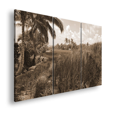 Hauptbild Sepia 3 Teilig