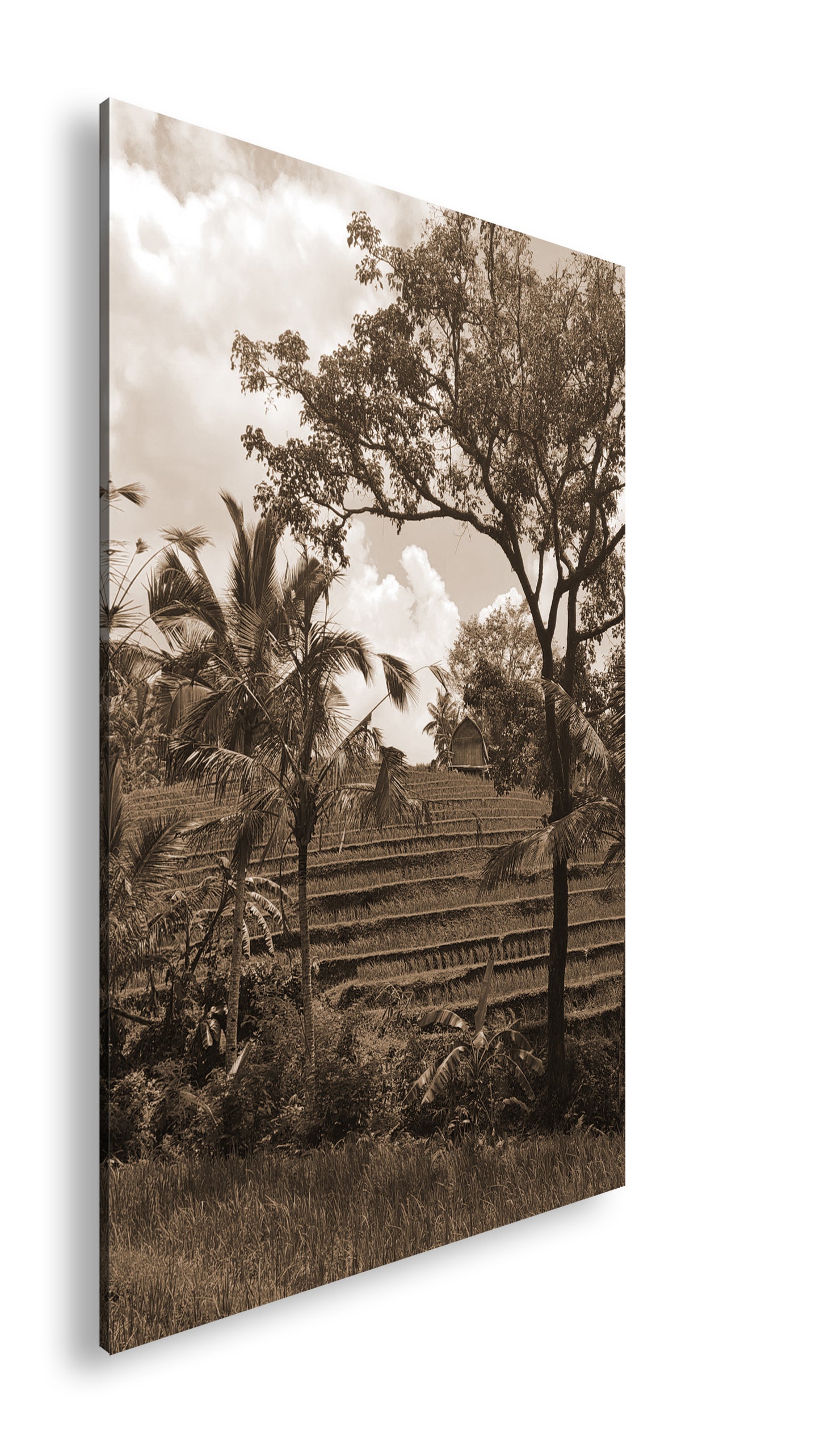 Hauptbild Sepia Standart