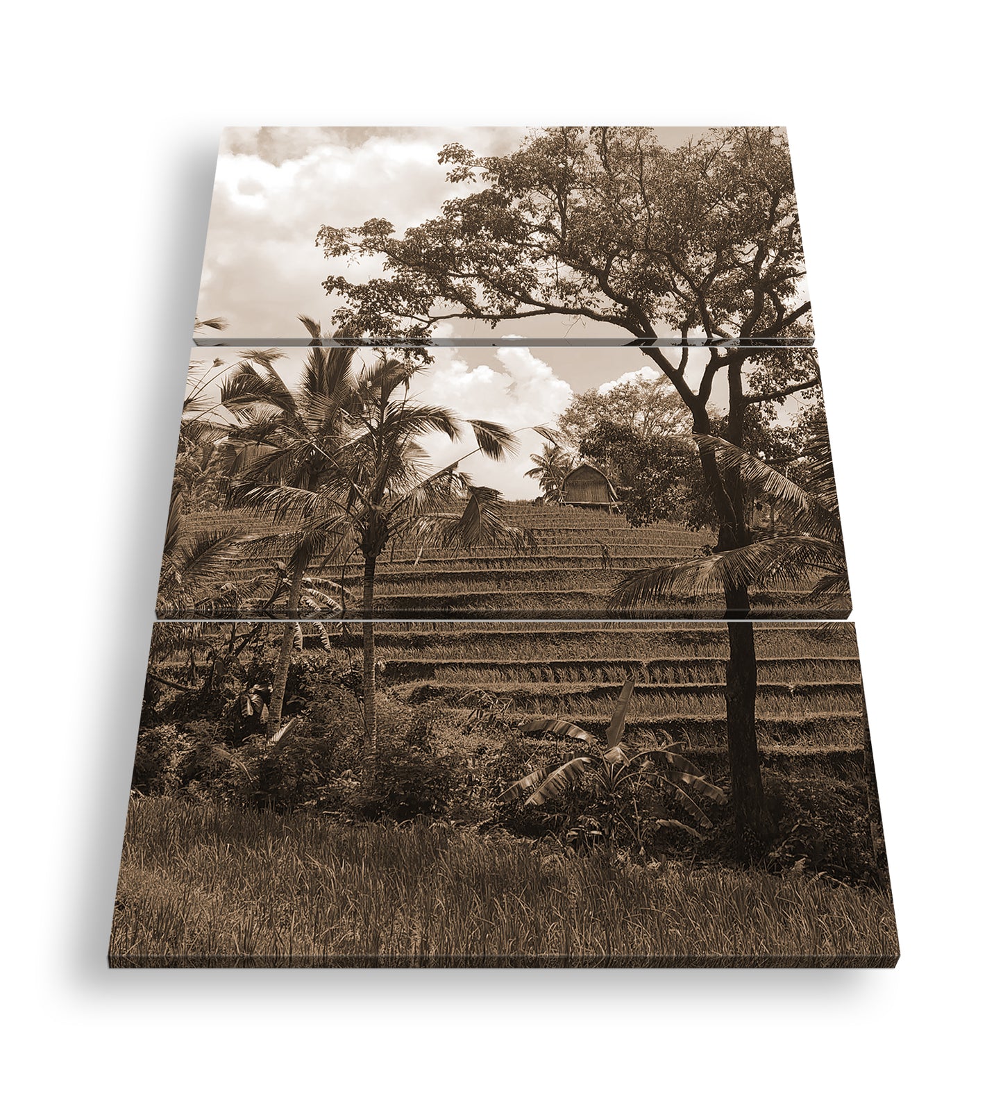 Hauptbild Sepia 3 Teilig