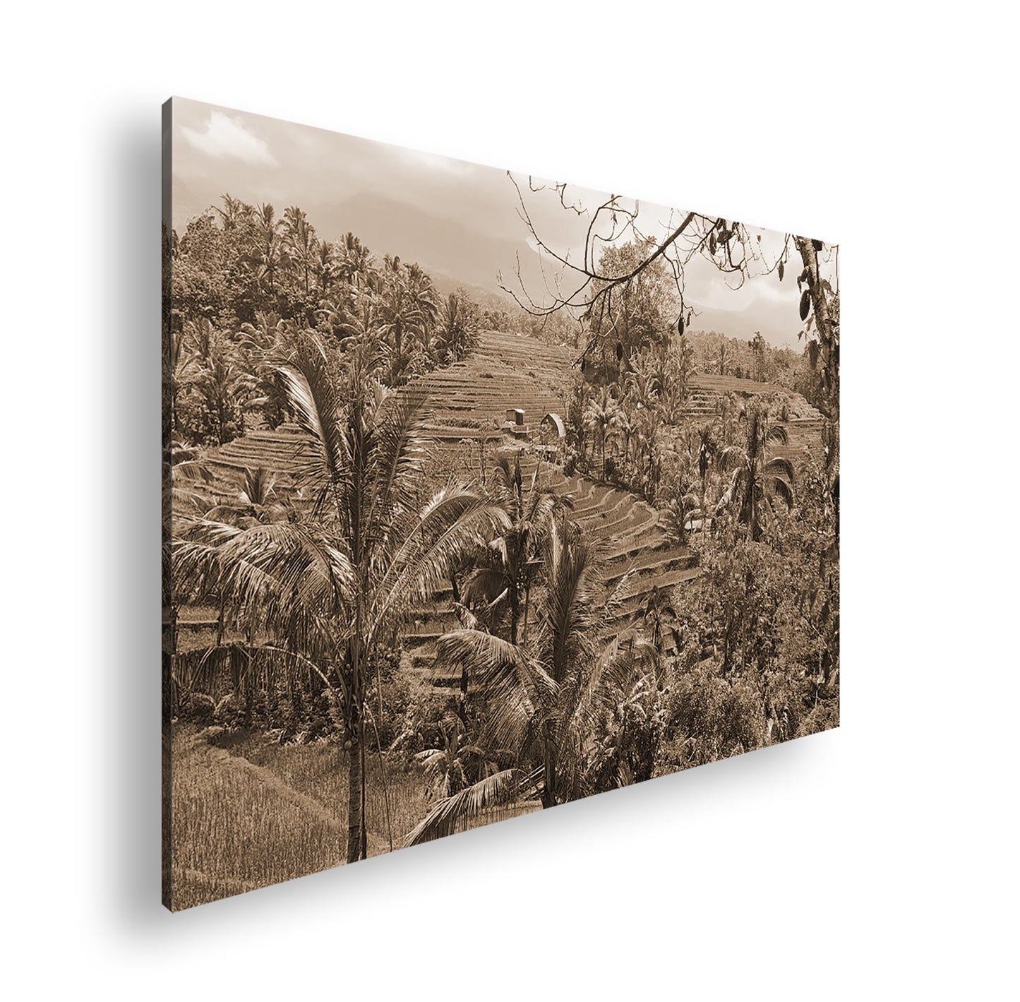 Hauptbild Sepia Standart