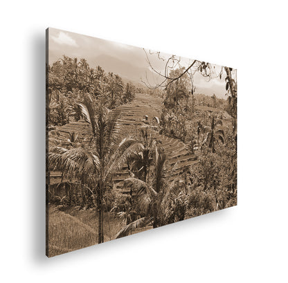 Hauptbild Sepia Standart