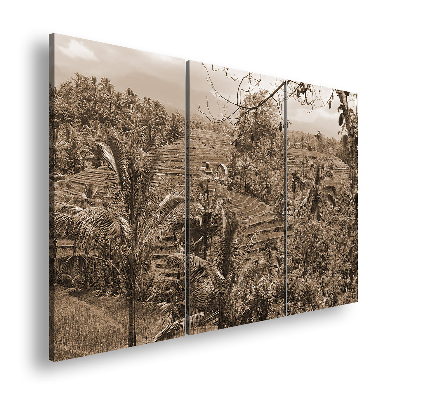 Hauptbild Sepia 3 Teilig