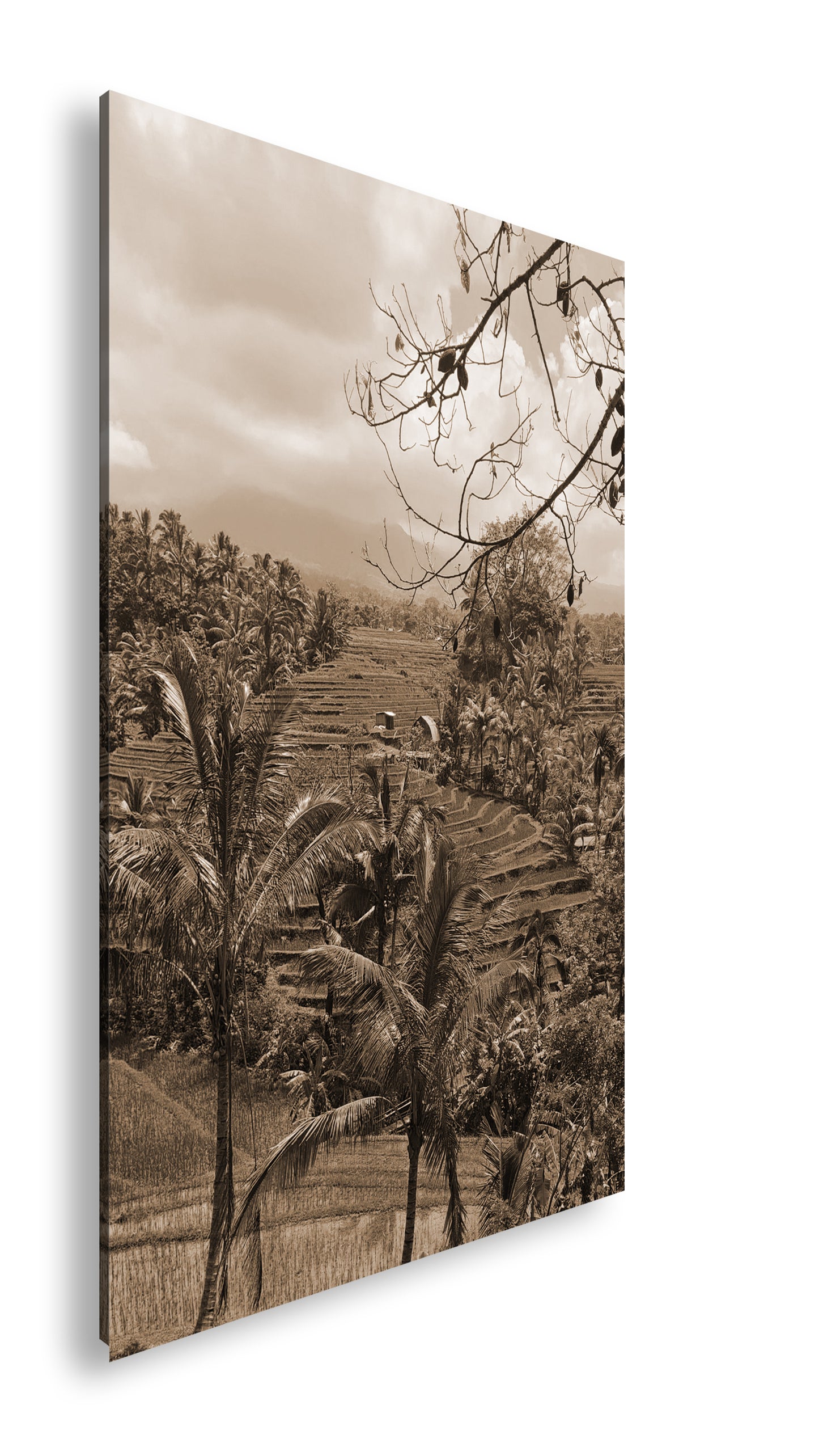 Hauptbild Sepia Standart