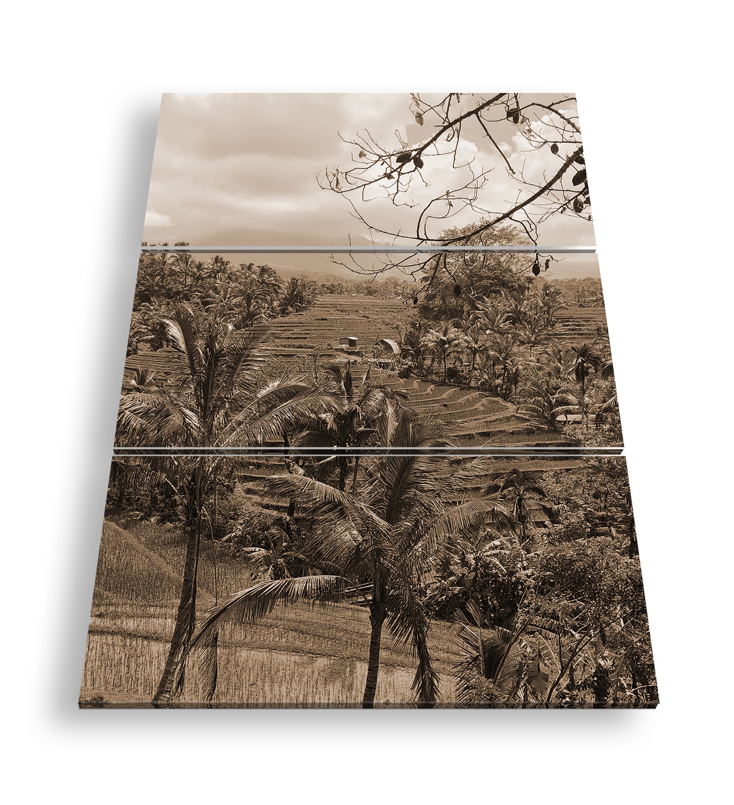 Hauptbild Sepia 3 Teilig