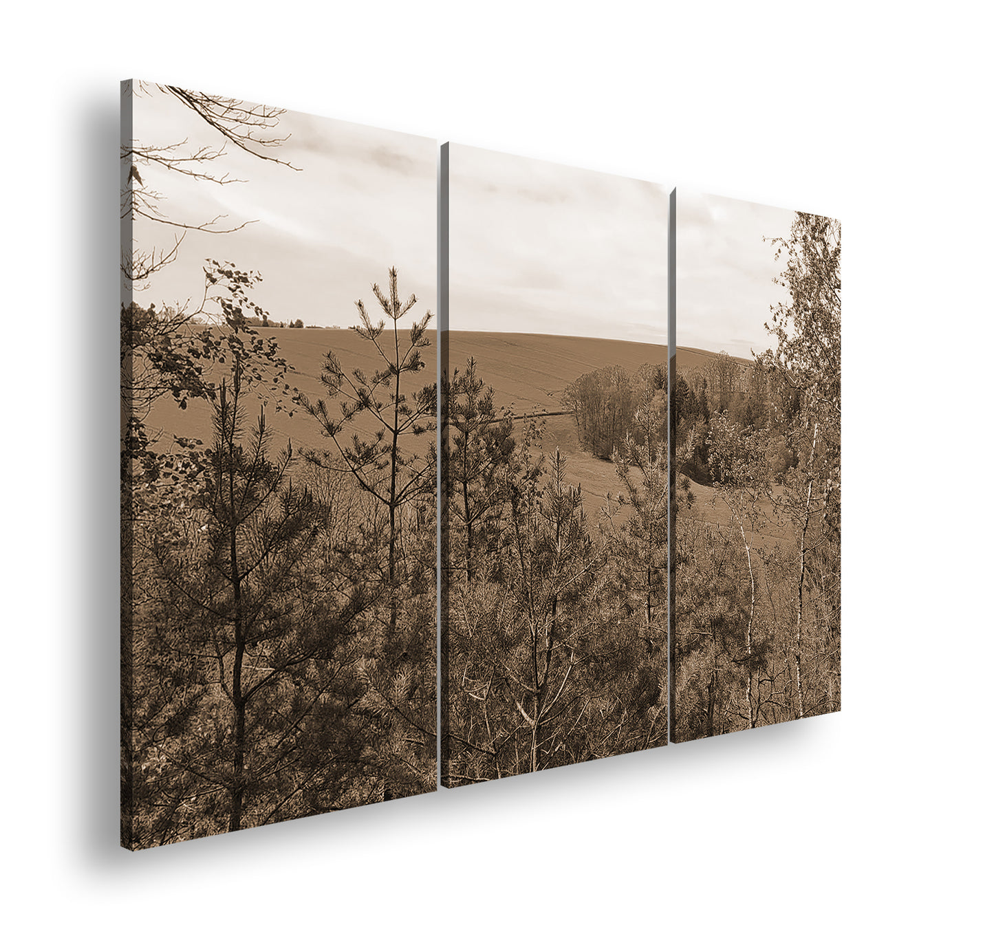 Hauptbild Sepia 3 Teilig