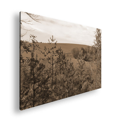 Hauptbild Sepia Standart