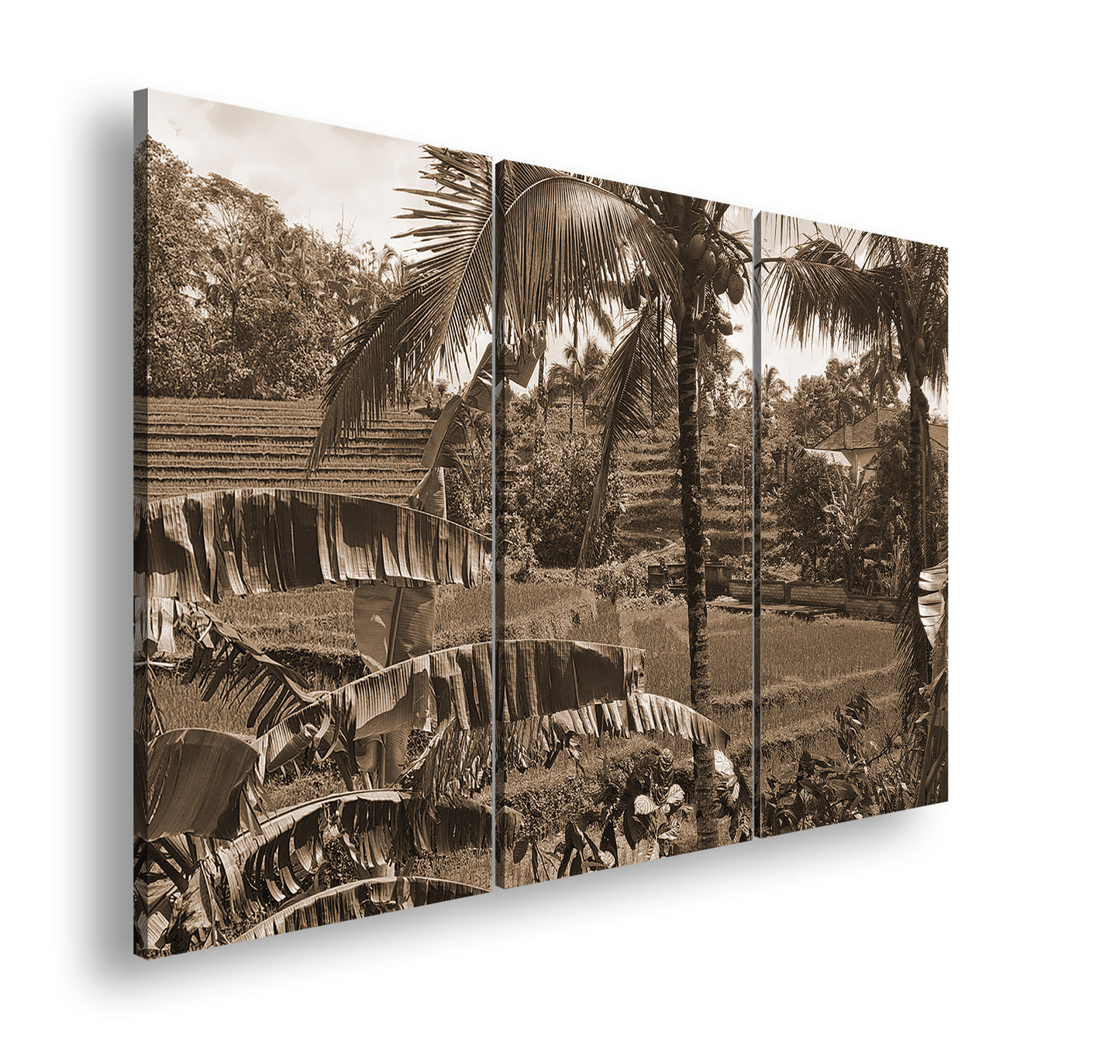 Hauptbild Sepia 3 Teilig