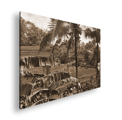 Hauptbild Sepia Standart