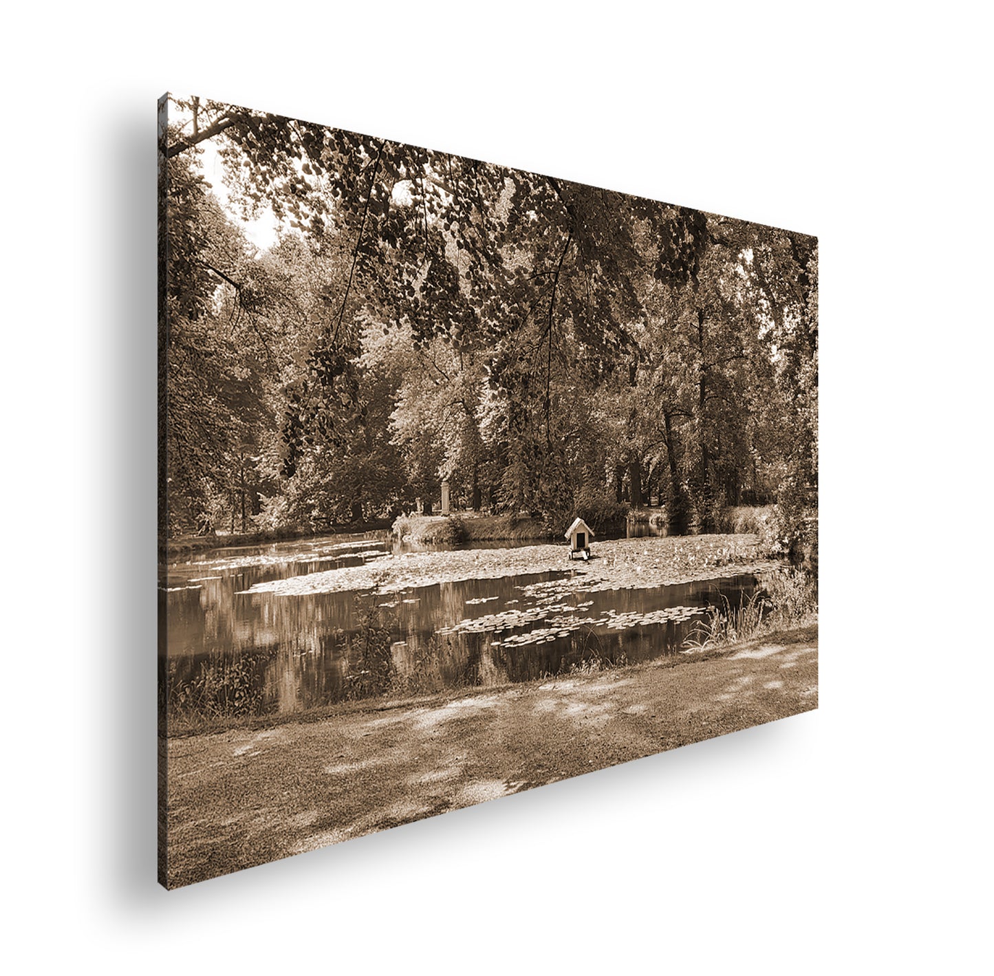 Hauptbild Sepia Standart