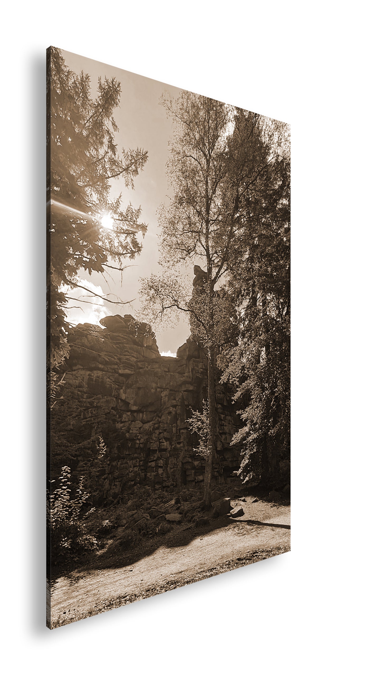 Hauptbild Sepia Standart